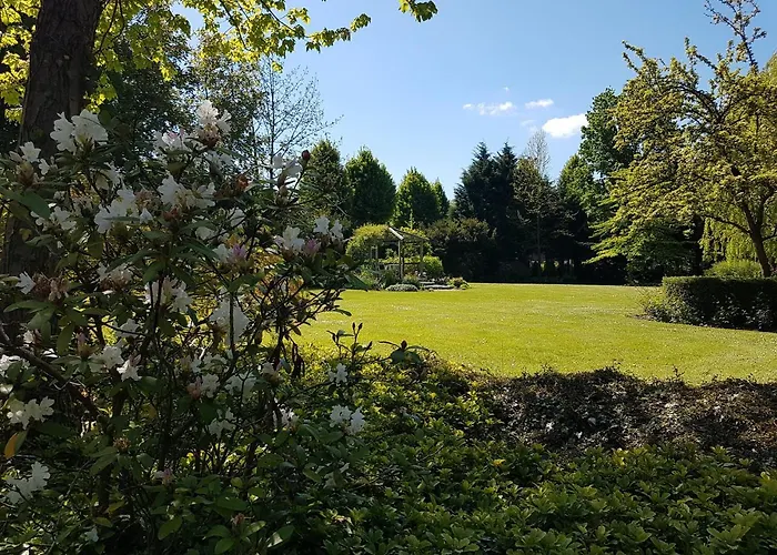 Отель Juliana 3*